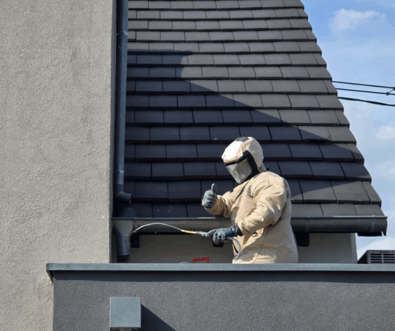 Équipe Bugsbusters en intervention pour détruire un nid de frelons asiatiques