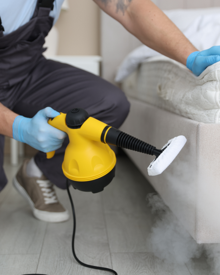 Traitement désinsectisation chambre